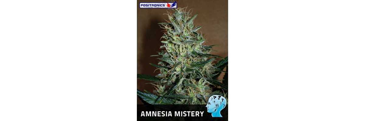 Amnesia Mistery