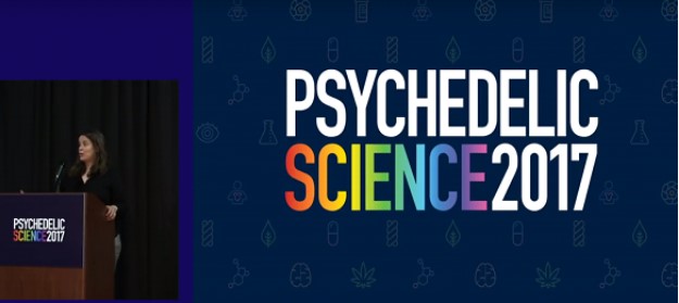 Bild der Präsentation von Psychedelic Science 2017