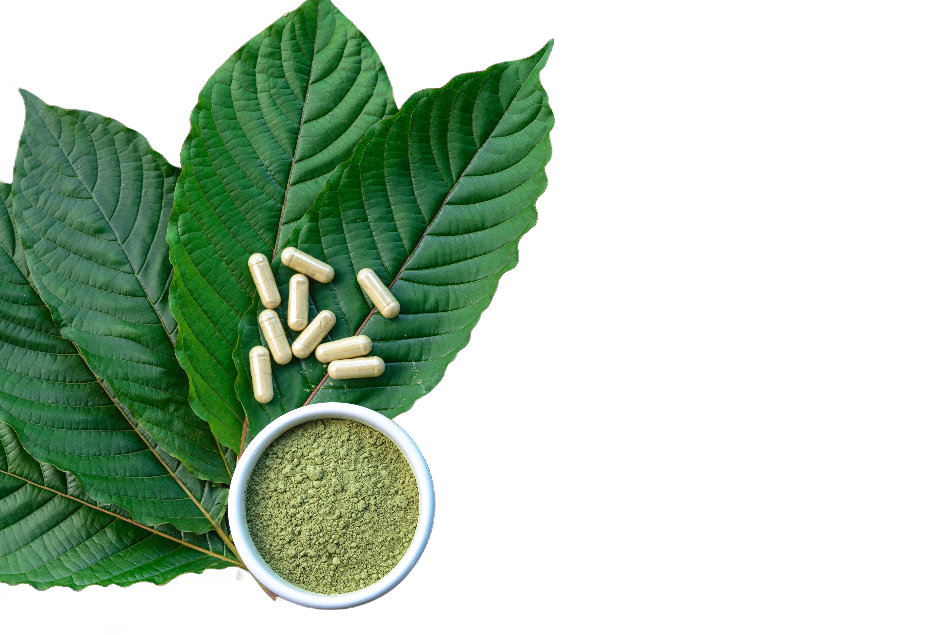 Kratom Klassifizierung nach farbiger Vene – rot, grün, weiß und gelb