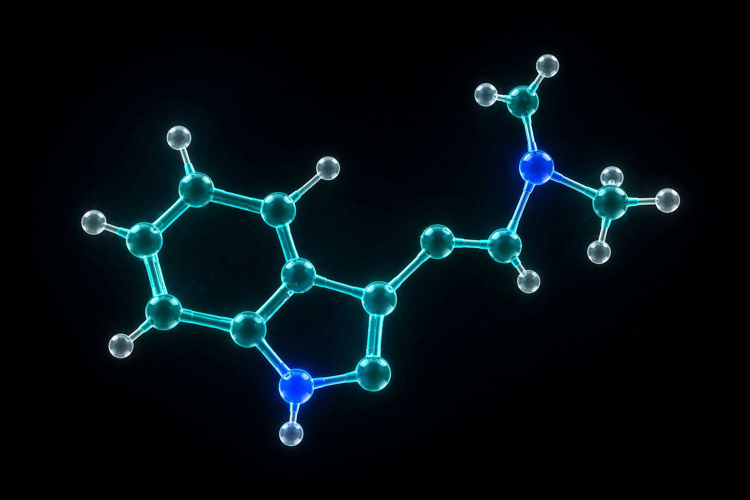 Was ist DMT?
