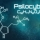 What Psilocybin is and what it is used for| EDABEA