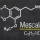 Was Mezcalin ist und wofür es verwendet wird | EDABEA