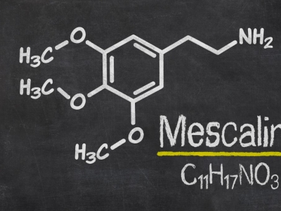 Qu'est-ce que la mezcaline et à quoi sert-elle ? | EDABEA